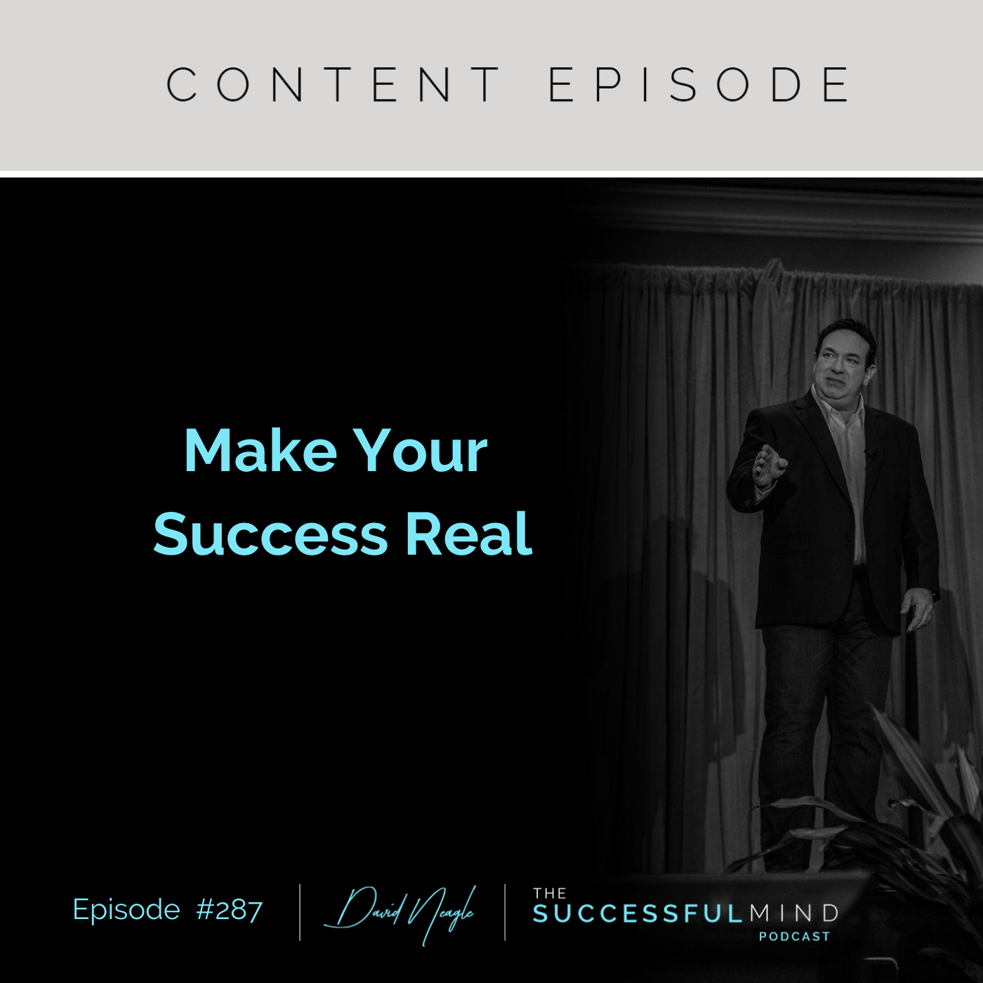 The Successful Mind Podcast - Make Your Success Real