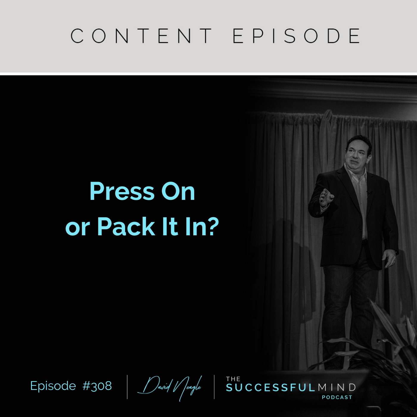 The Successful Mind Podcast - Episode 308 – Press On or Pack It In