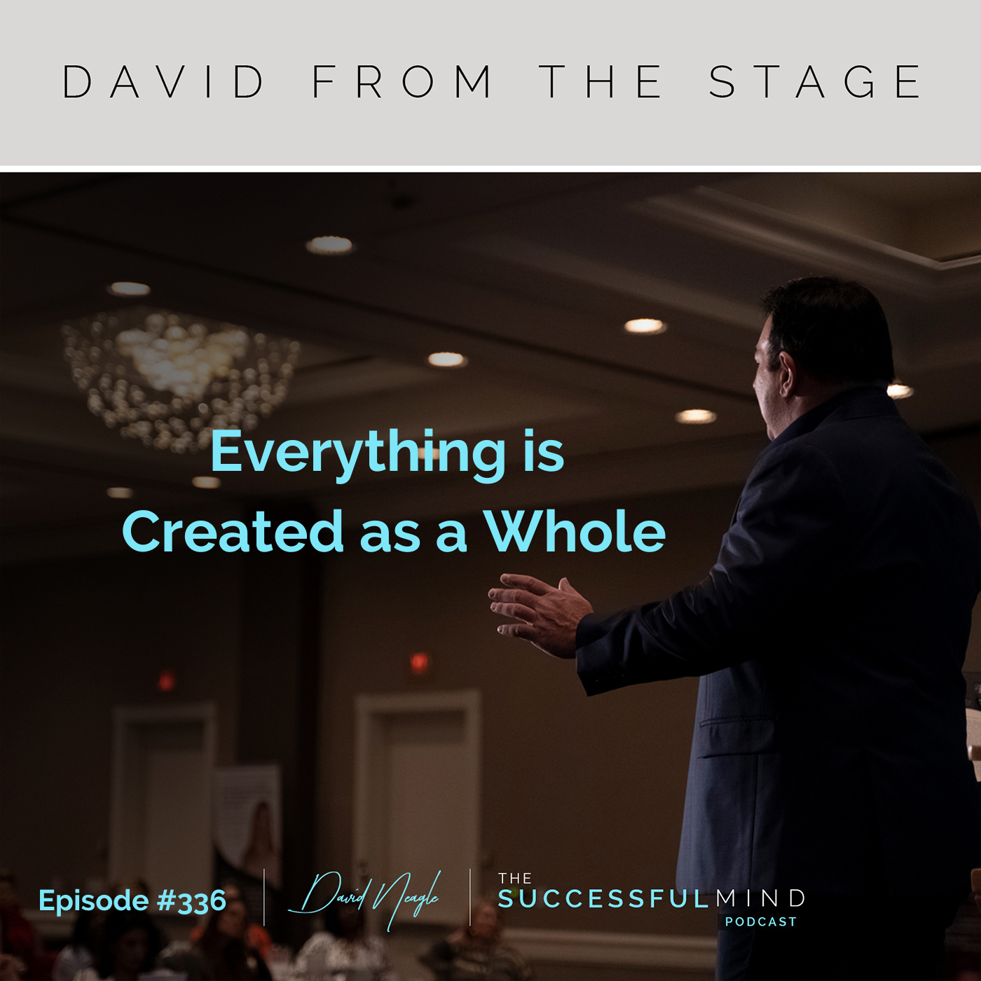 The Successful Mind Podcast - Episode 336 - Everything is Created as a Whole