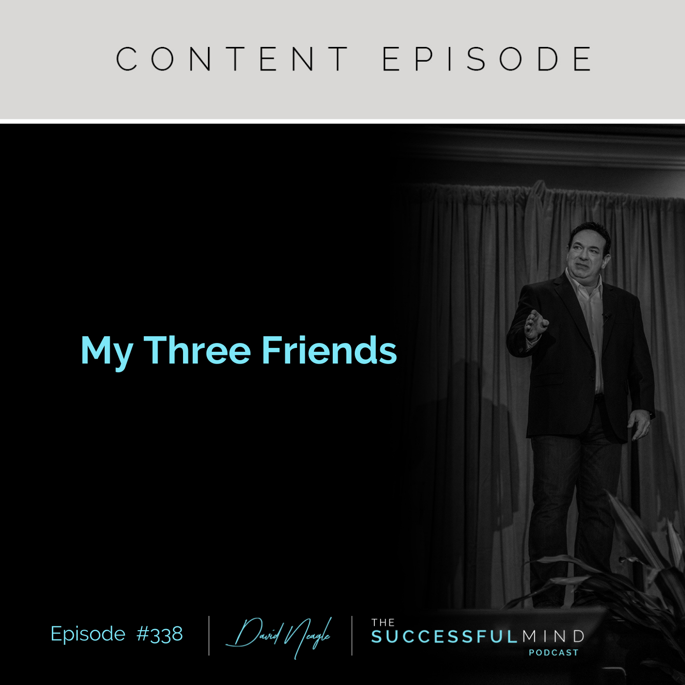 The Successful Mind Podcast - Episode 338 - My Three Friends