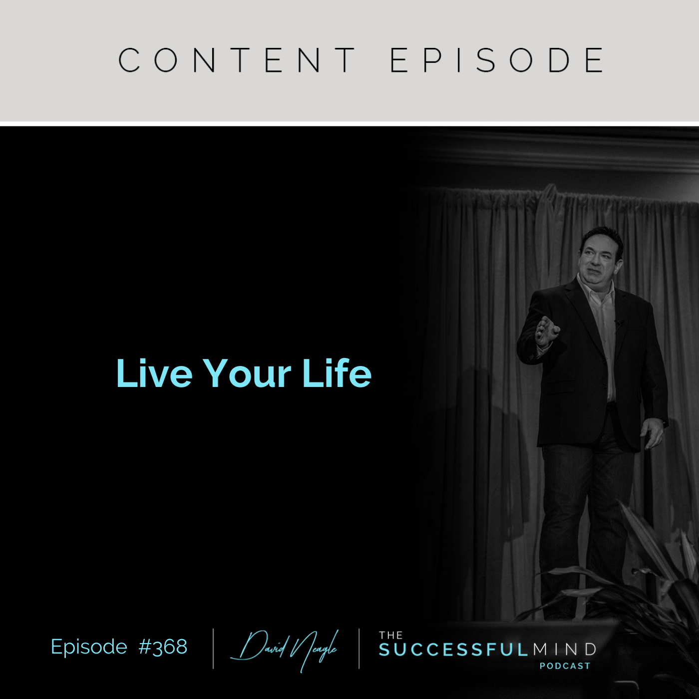 The Successful Mind Podcast - Episode 368 - Live Your Life