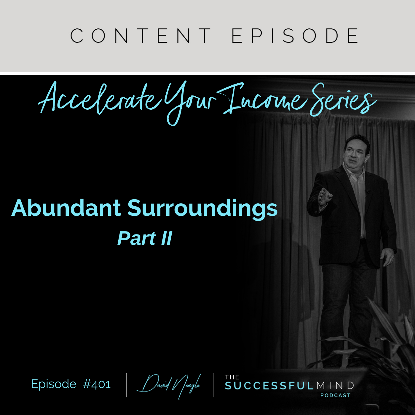 The Successful Mind Podcast - Episode 401 - Accelerate Your Income Series: Abundant Surroundings - Part II