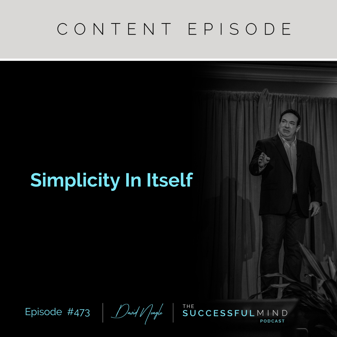 The Successful Mind Podcast - Episode 473 - Simplicity In Itself
