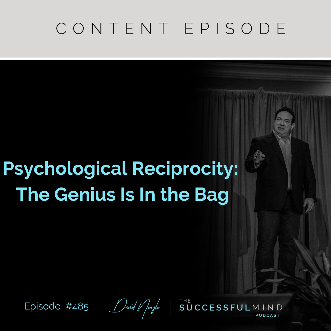 The Successful Mind Podcast – Episode 485 – Psychological Reciprocity: The Genius Is In the Bag